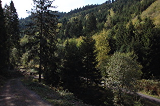 Kunsteinweg oberhalb des Abzuchttals, untere Kehre