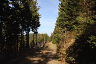 Kunsteinweg oberhalb der oberen Kehre, Blick nach Norden