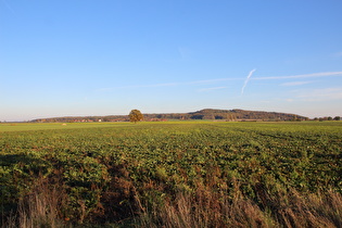 zwischen Döteberg und Großem Holz, Blick zum Benther Berg …