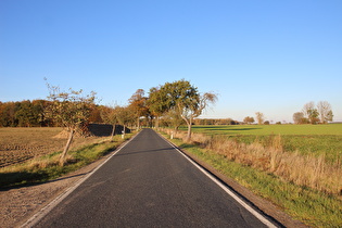 … und Blick zum Großen Holz