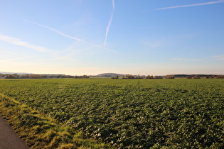 zwischen Northen und Lenthe, Blick zum Stemmer Berg …