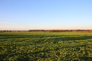 östlich von Lenthe, Blick zum Velberholz