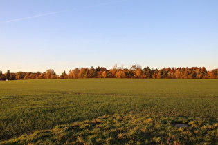 zwischen Velber und Hannover, Blick zum Heisterberg