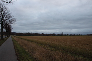 zwischen Harenberg und Lenthe, Blick nach Süden