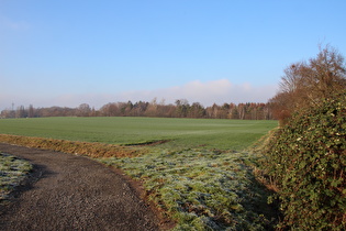 Hannover, Westrand, Blick zum Heisterberg