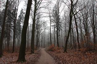 Kammweg, Blick nach Südwesten, …