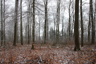 … Blick nach Osten auf Benthe …