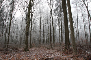 … und Blick nach Westen