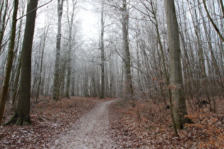 der zweite, steile Anstieg oberhalb von Benthe