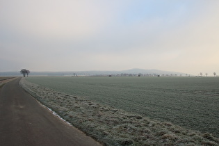 südlich vom Großen Holz, Blick zum Benther Berg