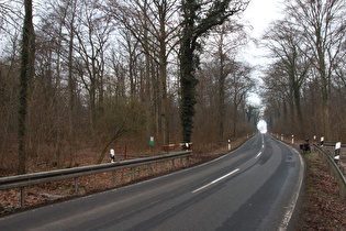 Brücke über die Kirchwehrener Landwehr im Großen Holz