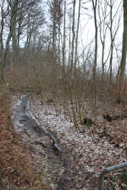 die Kirchwehrener Landwehr, Blick flussaufwärts …