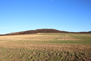 Burgberg, Westflanke