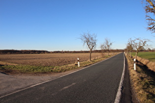 zwischen Ditterke und Großem Holz, Blick aus das Große Holz …