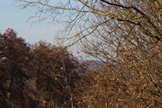 Zoom auf den "Brocken des Weserberglandes"