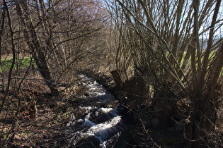 die Holzminde südlich von Holzminden, Blick flussaufwärts …