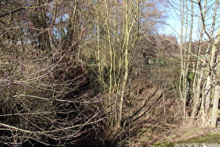 … und Blick flussabwärts