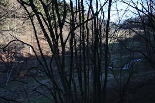 Rumohrtal, weiter oben, Blick talaufwärts