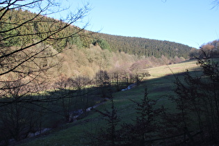 etwas weiter oben, Blick talaufwärts