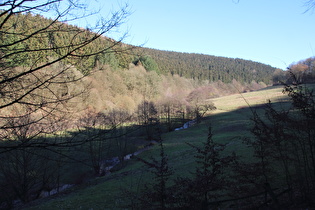 etwas weiter oben, Blick talaufwärts