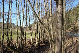 die Holzminde zwischen Neuhaus und Fohlenplacken, Blick flussabwärts …