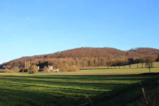 Blick von Dassel auf den Ellenser Wald