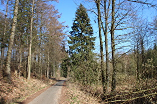 Anstieg zum Kammweg weit unten, Blick bergab