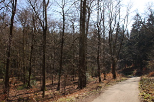 oberhalb der untersten Kehre, Blick nach Süden …