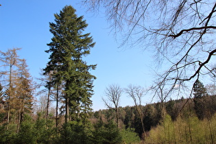 etwas weiter oben, Blick nach Süden