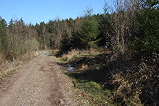 oberhalb der Bössquelle