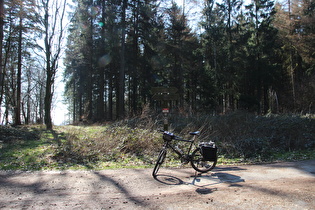 Kammweg am oberen Ende des Anstiegs von Barsinghausen