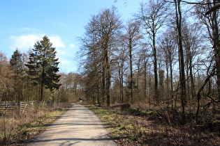 Blick zum Nordmannsturm auf dem Reinekensiekskopf …