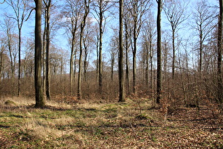 weiter unten, Blick zum südlichen Teil des Deisters