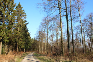 Kammweg zwischen Bröhn und Hirschköpfen, Blick nach Südosten …