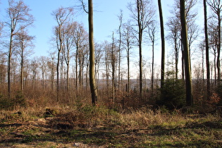 … und Blick nach Südwesten zum Süntel