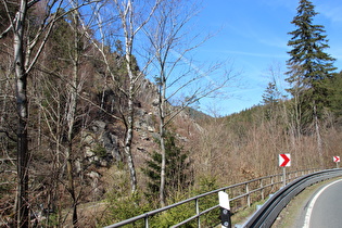 Okertal zwischen Oker und Romkerhalle, Blick talabwärts