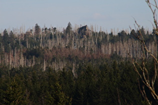 Zoom auf den Quitschenberg