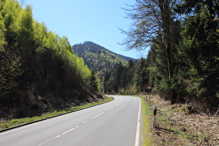 Okertal südlich von Oker, Blick nach Süden