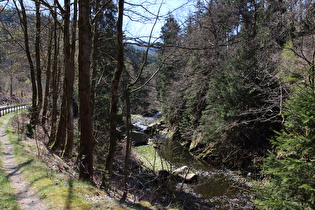 die Oker zwischen Romkerhalle und Ausgleichsbecken der Okertalsperre