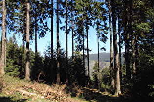 Blick auf die Kästeklippen über dem Okertal