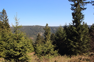 Blick auf Klippen über dem Okertal