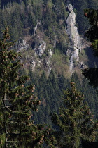 Zoom auf die Klippe Großer Kurfürst