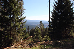 Blick durch eine Schneise zum Okerstausee