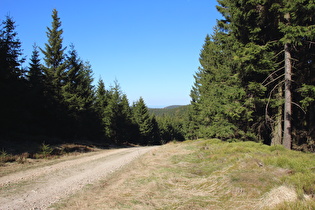 zwischen Kleintalsberg und Schalke, Blick nach Norden