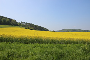 … und Blick zum Börryer Genossenschaftsforst