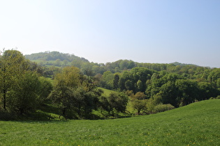 Blick zum Hangberg