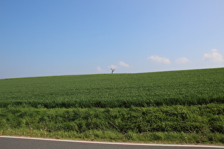 Agrarsteppe – Ende des Bergfahrgefühls oberhalb der siebten Kehre