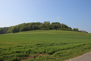 Blick zum Hangberg …