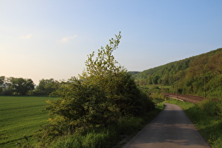 Leineradweg zwischen Kreiensen und Freden, Blick talabwärts