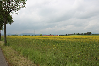 zwischen Einbeck und Hullersen, Blick über Hullersen nach Südwesten, …